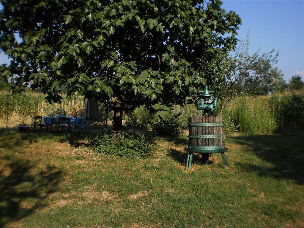 Green Fields Padwa Zewnętrze zdjęcie